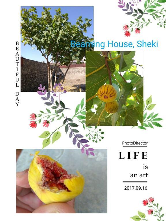 Beaming_House 호텔 Şǝki 외부 사진